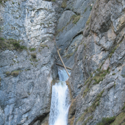 Neuschwanstein  Picture 115.jpg